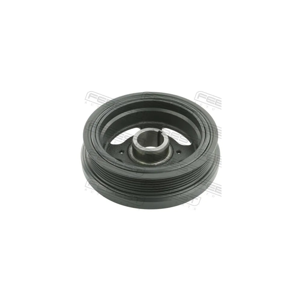 Alte Fulii Febest - TDS-2ARFE