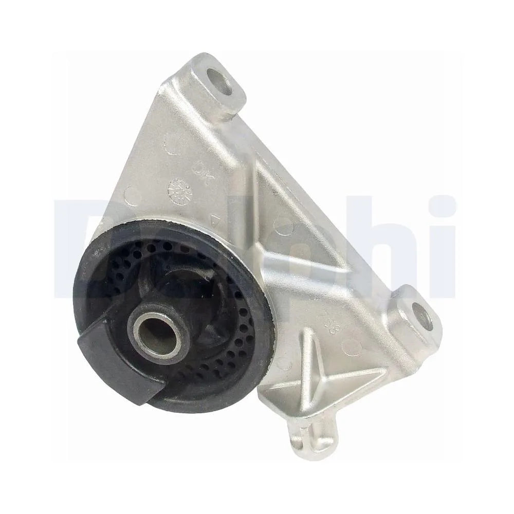 Set Motor Delphi - TEM010