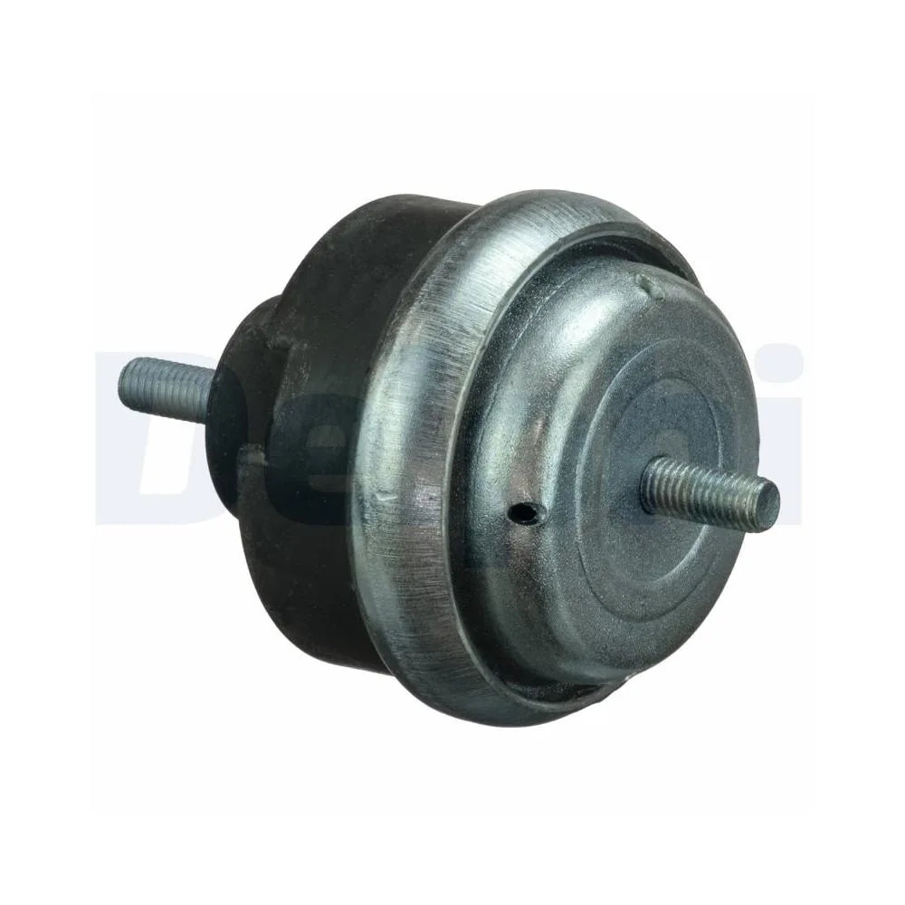 Set Motor Delphi pentru Citroen Berlingo/Xsara/Xsara Caseta/Xsara Cupe/Xsara Picasso, Peugeot 206 Cc/206/406/406 Cupe/Partner - TEM066