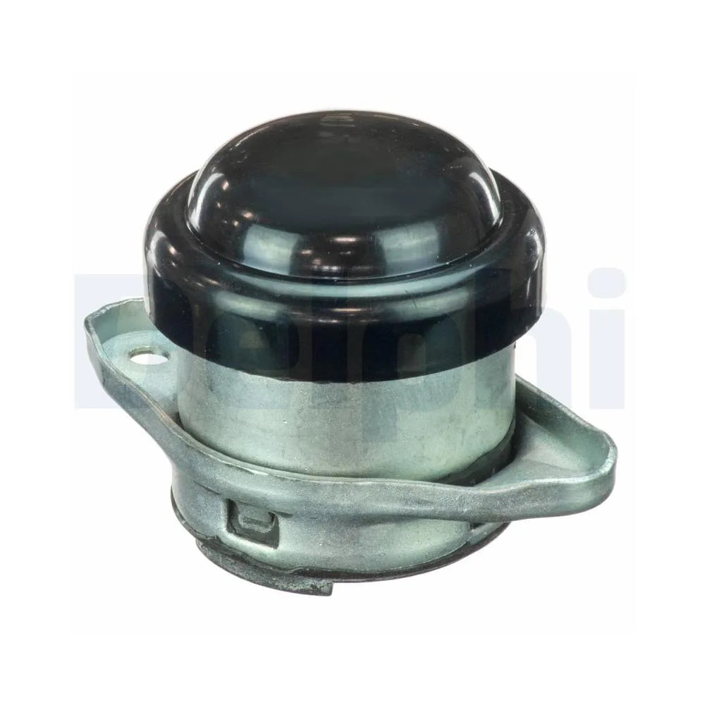 Set Motor Delphi - TEM077