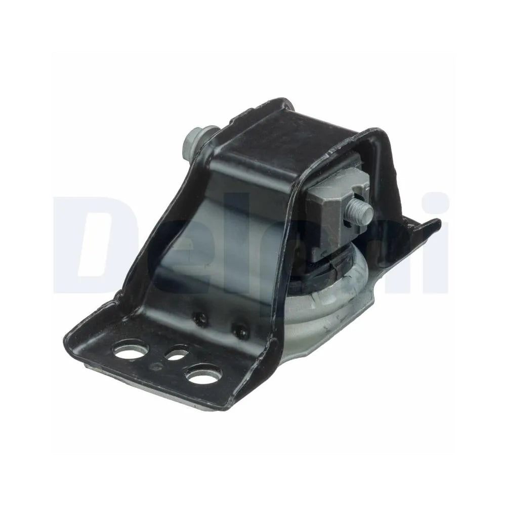 Set Motor Delphi pentru Renault Clio/Modus Grand - TEM082
