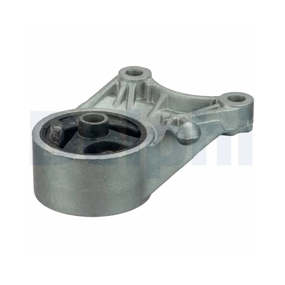 Set Motor Delphi - TEM092