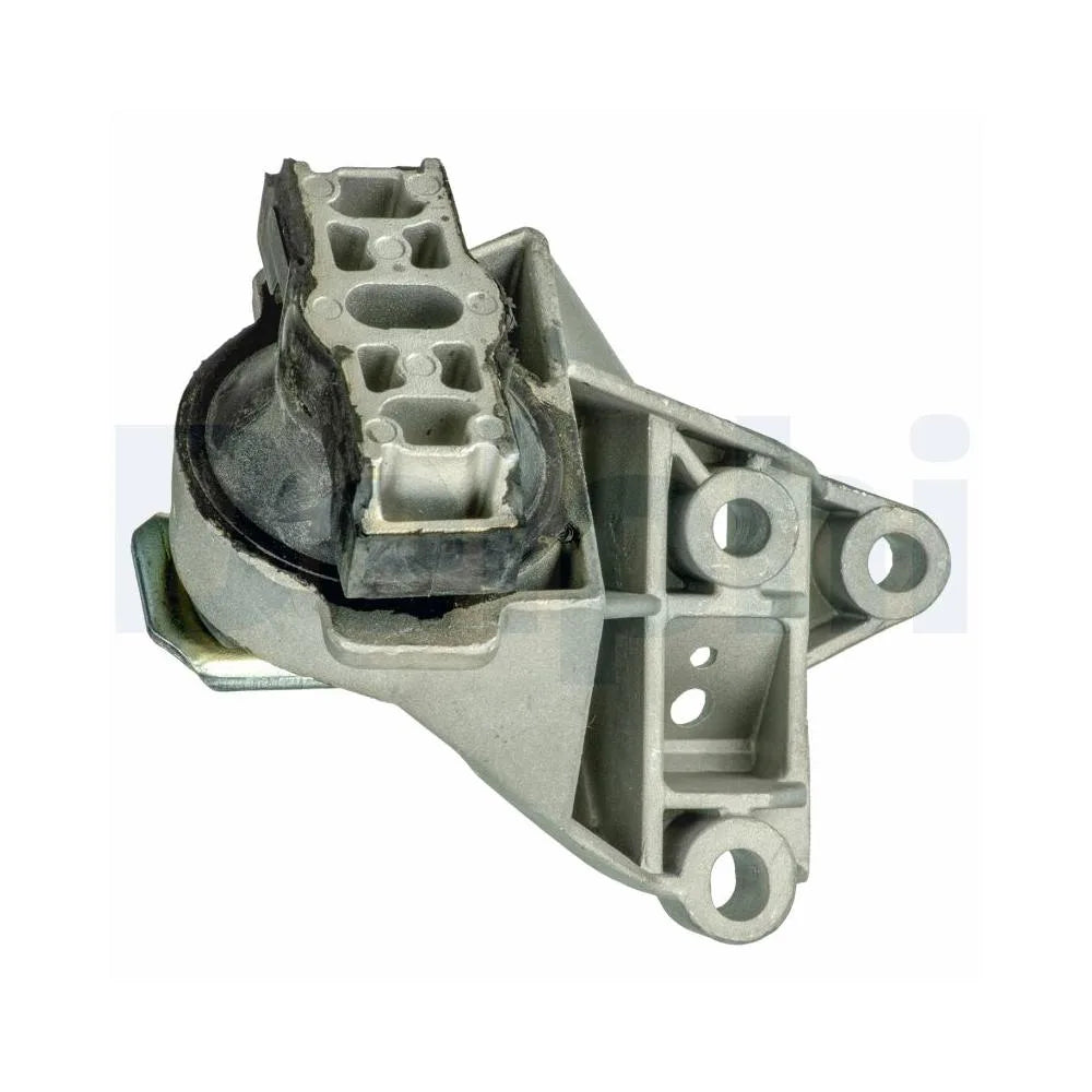 Set Motor Delphi - TEM105