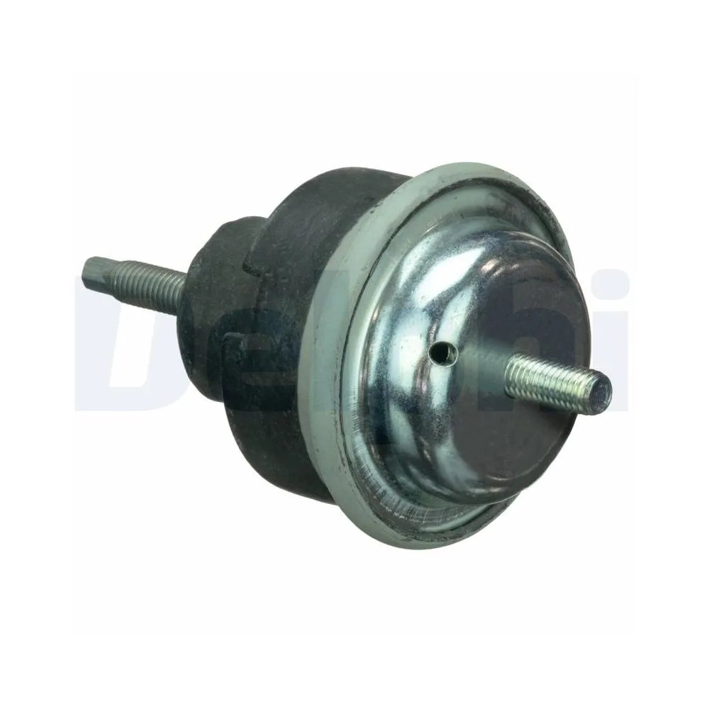 Set Motor Delphi pentru Citroen Berlingo/Xsara/Xsara Cupe, Peugeot 405/Partner - TEM115