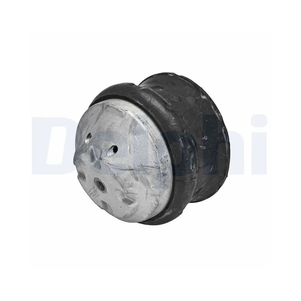 Set Motor Delphi - TEM132