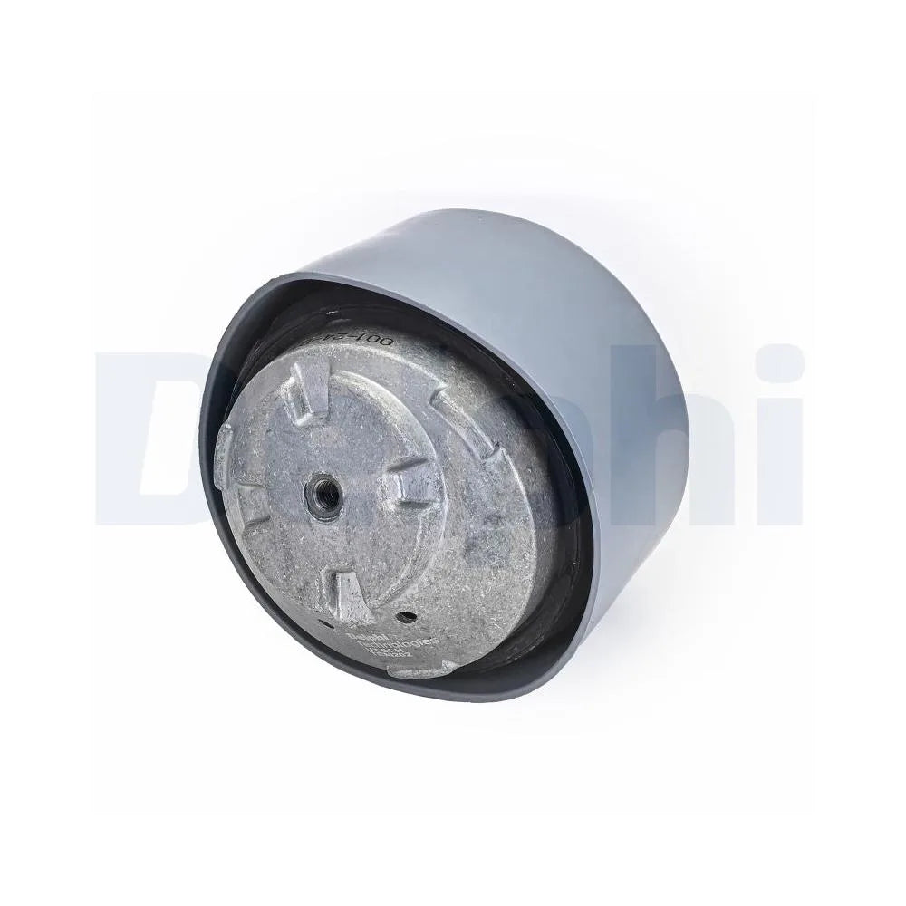 Set Motor Delphi - TEM202