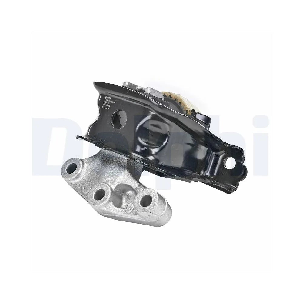 Set Motor Delphi - TEM294