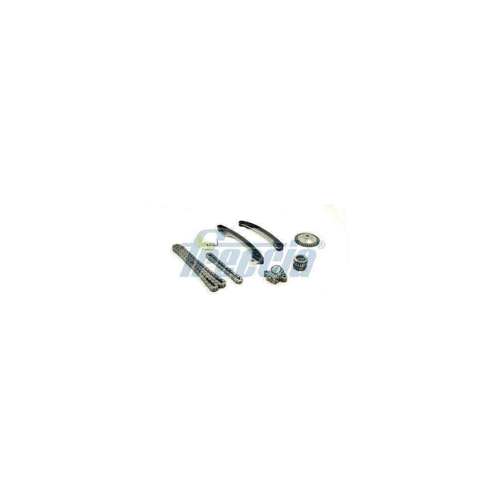 Lant Distributie Freccia - TK08-1144