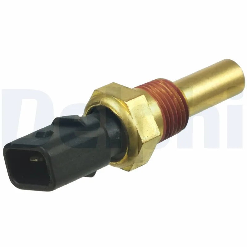 Senzori Auto Delphi 0.02 kg - TS10295