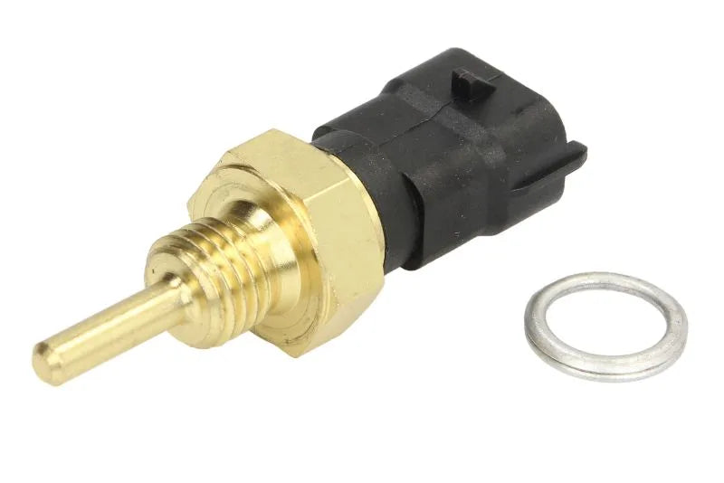 Senzori Auto Delphi 0.04 kg - TS10340