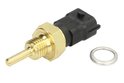 Senzori Auto Delphi 0.04 kg - TS10340