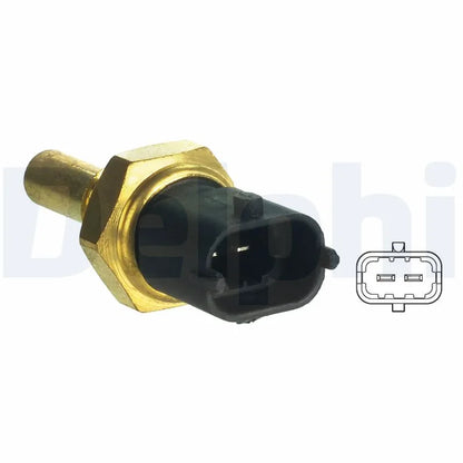 Senzori Auto Delphi 0.04 kg - TS10340