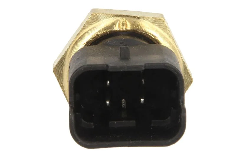 Senzori Auto Delphi 0.03 kg - TS10401