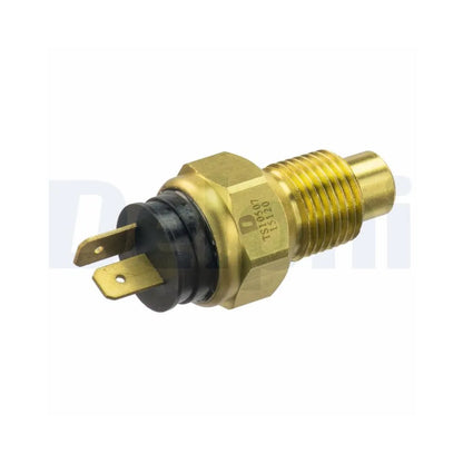Senzori Auto Delphi 0.06 kg - TS10507