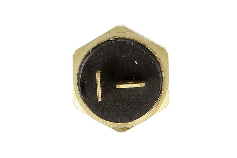 Senzori Auto Delphi 0.06 kg - TS10507
