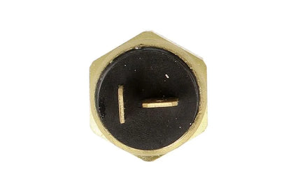 Senzori Auto Delphi 0.06 kg - TS10507