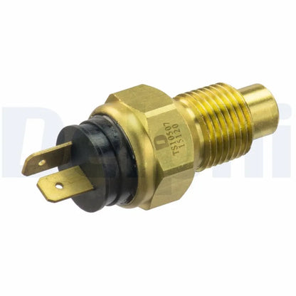 Senzori Auto Delphi 0.06 kg - TS10507