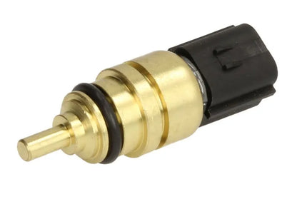 Senzori Auto Delphi 0.05 kg - TS10528