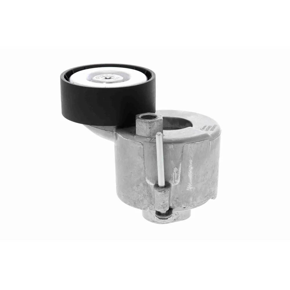 Curea Distributie VAICO - V10-6499