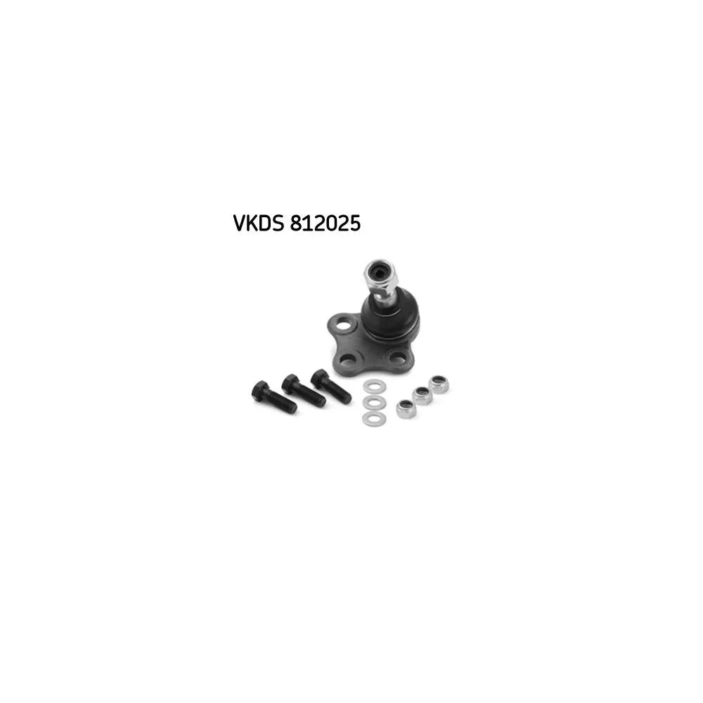 Pivot SKF - VKDS 812025