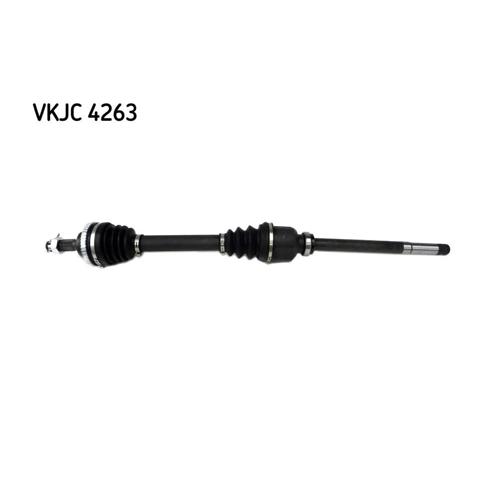 Planetara SKF - VKJC4263
