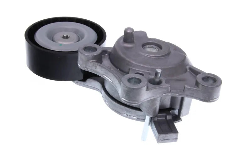 Intinzator Curea Caneluri Citroen 1,6 Bluehdi SKF - VKM33332