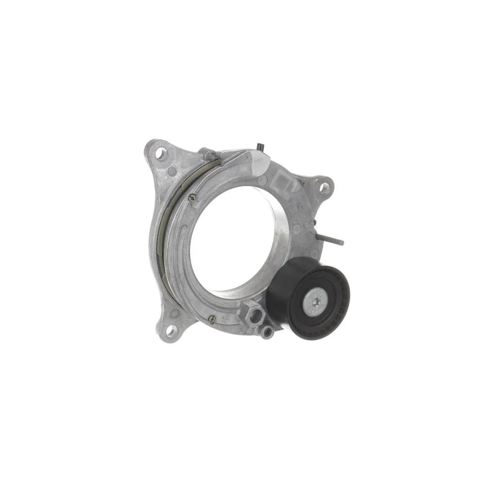 Intinzator Curea Caneluri Bmw 1,5D-3,0D SKF - VKM38015