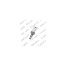 Senzori Auto CALORSTAT by Vernet - WS3039