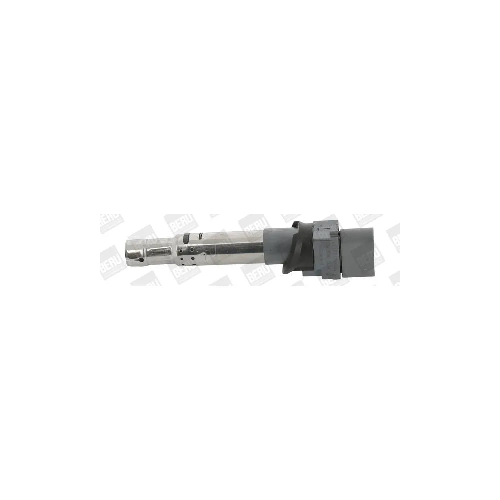 Bobina Inductie Beru - ZSE041