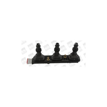 Kit Aprindere BorgWarner (BERU) - ZSE153