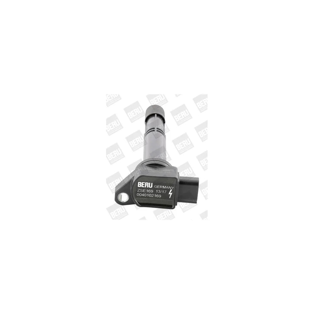 Kit Aprindere BorgWarner (BERU) - ZSE169
