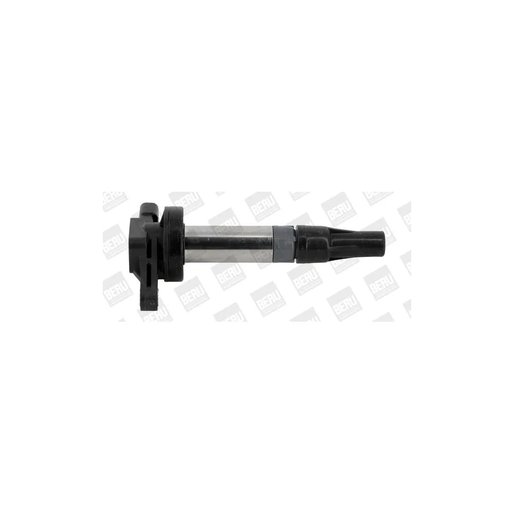 Kit Aprindere BorgWarner (BERU) pentru Jaguar S Type/Xf/Xj/Xk 8 Convertible/Xk 8 Cupe, Land Rover Discovery/Range Rover - ZSE196