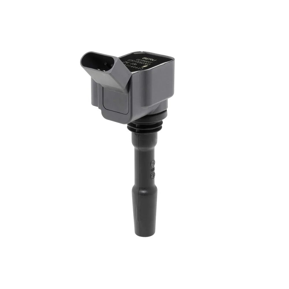 Kit Aprindere BorgWarner (BERU) - ZSE236