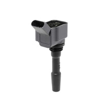 Kit Aprindere BorgWarner (BERU) - ZSE236