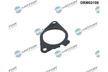 Garnitura supapa EGR BMW 5 2.0D 13- Dr.Motor Automotive pentru BMW, Mini - DRM02198