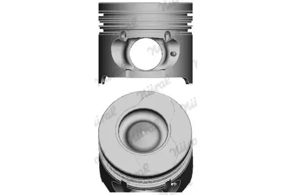 Piston Nural - 87-123407-10