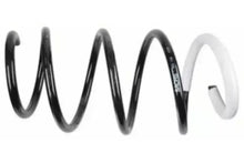 Arc spiral Sachs pentru Renault - 993 149