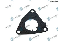 Garnitura, pompa vacuum Dr.Motor Automotive pentru Alfa Romeo, Fiat - DRM01947