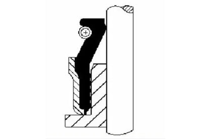 Etansare supape, Toyota, 13x13x6 mm, Corteco 49472893