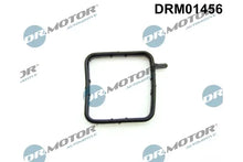 Garnitura, teava lichi de racire Dr.Motor Automotive - DRM01456