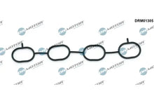Garnitura, galerie admisie Dr.Motor Automotive pentru Nissan - DRM01305