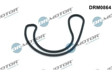 Garnitura, ventil agr Dr.Motor Automotive - DRM0864