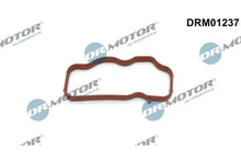 Garnitura, galerie admisie Dr.Motor Automotive pentru Audi - DRM01237