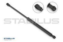 Amortizor luneta, Nissan, 815x72x22 mm, Stabilus STA378368