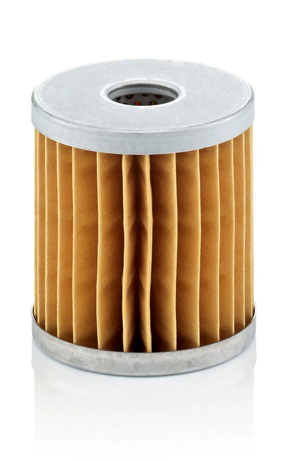 Filtru Aer Mann-Filter - C 66