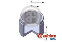 Piston etrier frana, Acura, Chery, Chrysler, Honda, Mercedes-Benz, Rover, Autofren Seinsa D025225