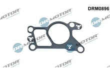 Garnitura, ventil agr Dr.Motor Automotive - DRM0896