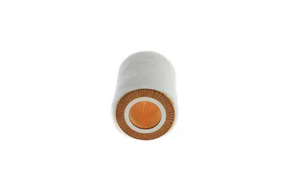 Filtru aer, Smart Roadster, Roadster Cupe, 149x115x114 mm, Bosch 1457433084