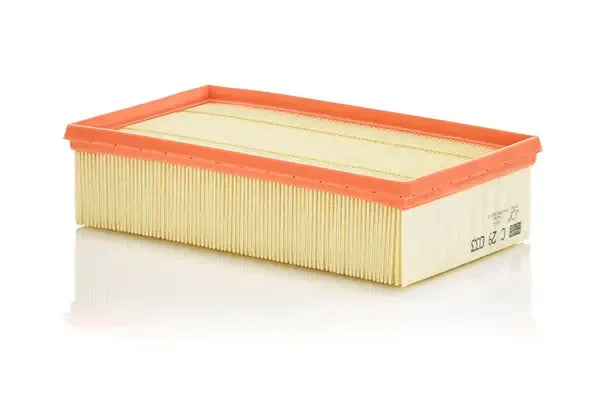 Filtru aer -Filter, Renault, 304x176x76 mm, Mann C29033